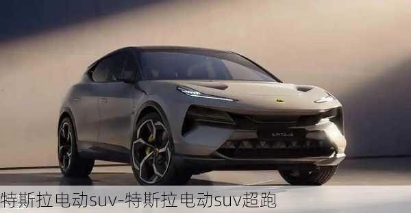 特斯拉电动suv-特斯拉电动suv超跑