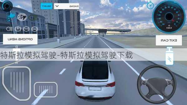 特斯拉模拟驾驶-特斯拉模拟驾驶下载