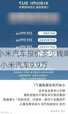 小米汽车报价多少钱啊-小米汽车9.9万