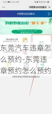 东莞汽车违章怎么预约-东莞违章预约怎么预约