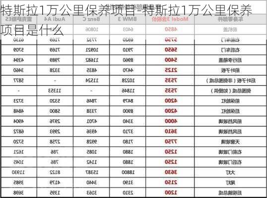 特斯拉1万公里保养项目-特斯拉1万公里保养项目是什么