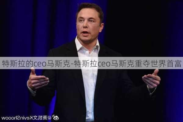 特斯拉的ceo马斯克-特斯拉ceo马斯克重夺世界首富