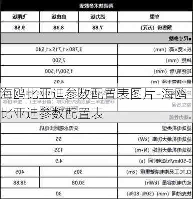 海鸥比亚迪参数配置表图片-海鸥比亚迪参数配置表