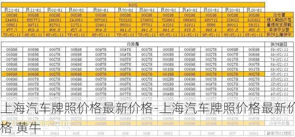 上海汽车牌照价格最新价格-上海汽车牌照价格最新价格 黄牛