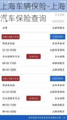 上海车辆保险-上海汽车保险查询