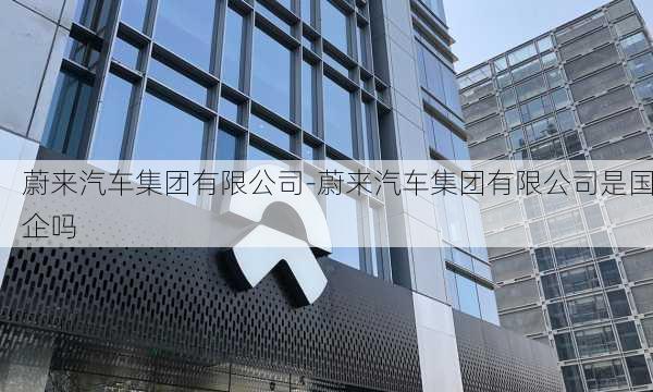 蔚来汽车集团有限公司-蔚来汽车集团有限公司是国企吗