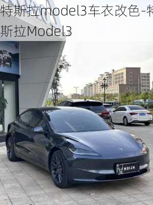 特斯拉model3车衣改色-特斯拉Model3