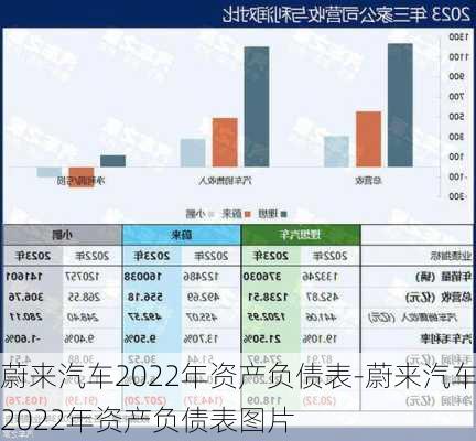 蔚来汽车2022年资产负债表-蔚来汽车2022年资产负债表图片