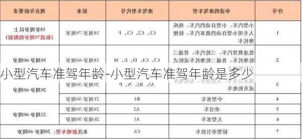 小型汽车准驾年龄-小型汽车准驾年龄是多少