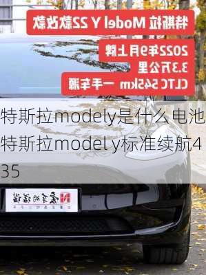 特斯拉modely是什么电池-特斯拉model y标准续航435