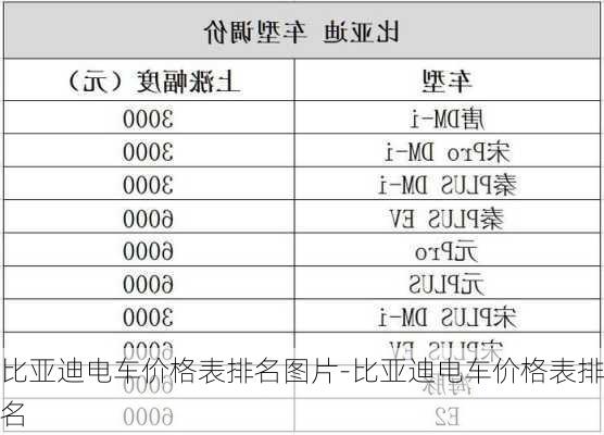 比亚迪电车价格表排名图片-比亚迪电车价格表排名