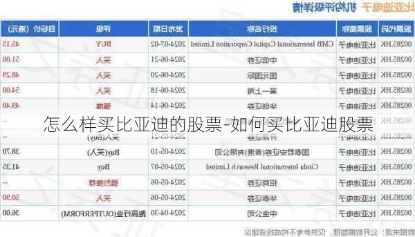 怎么样买比亚迪的股票-如何买比亚迪股票