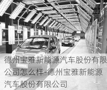 德州宝雅新能源汽车股份有限公司怎么样-德州宝雅新能源汽车股份有限公司