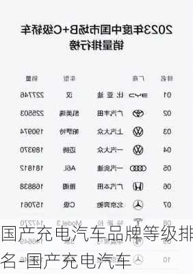 国产充电汽车品牌等级排名-国产充电汽车