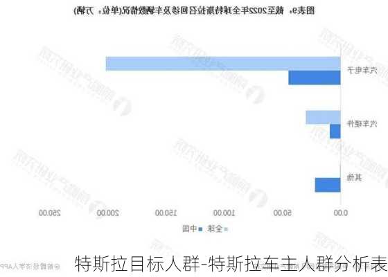 特斯拉目标人群-特斯拉车主人群分析表