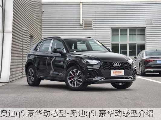 奥迪q5l豪华动感型-奥迪q5L豪华动感型介绍