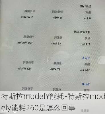 特斯拉modelY能耗-特斯拉modely能耗260是怎么回事