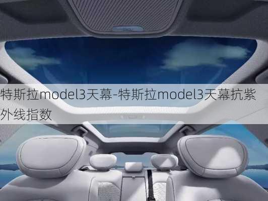 特斯拉model3天幕-特斯拉model3天幕抗紫外线指数