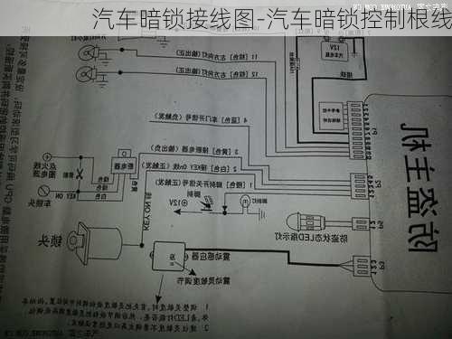 汽车暗锁接线图-汽车暗锁控制根线