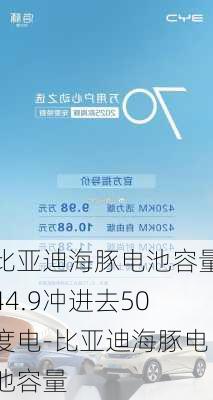 比亚迪海豚电池容量44.9冲进去50度电-比亚迪海豚电池容量