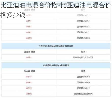 比亚迪油电混合价格-比亚迪油电混合价格多少钱