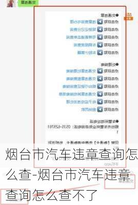 烟台市汽车违章查询怎么查-烟台市汽车违章查询怎么查不了