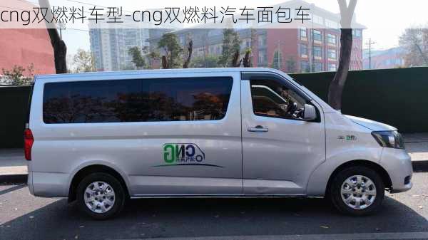 cng双燃料车型-cng双燃料汽车面包车