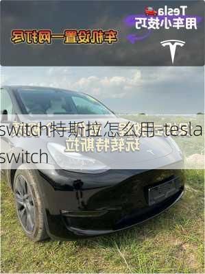 switch特斯拉怎么用-tesla switch