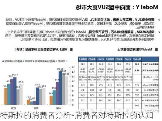 特斯拉的消费者分析-消费者对特斯拉的认知