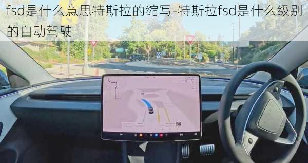 fsd是什么意思特斯拉的缩写-特斯拉fsd是什么级别的自动驾驶