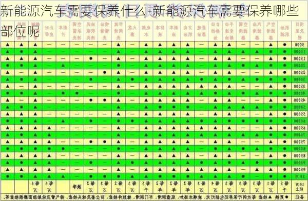 新能源汽车需要保养什么-新能源汽车需要保养哪些部位呢