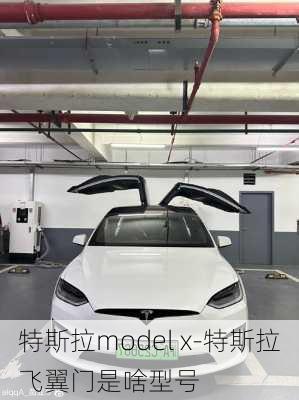 特斯拉model x-特斯拉飞翼门是啥型号