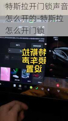 特斯拉开门锁声音怎么开的-特斯拉怎么开门锁