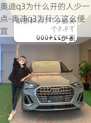 奥迪q3为什么开的人少一点-奥迪q3为什么这么便宜