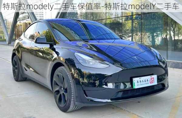 特斯拉modely二手车保值率-特斯拉modelY二手车