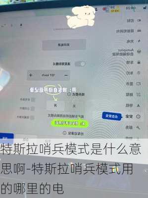 特斯拉哨兵模式是什么意思啊-特斯拉哨兵模式用的哪里的电