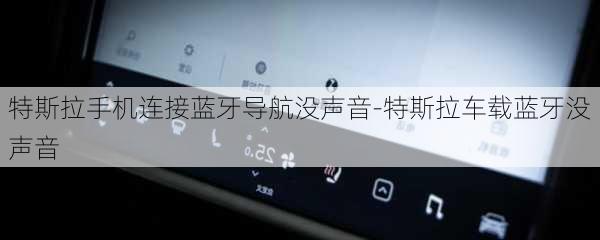 特斯拉手机连接蓝牙导航没声音-特斯拉车载蓝牙没声音