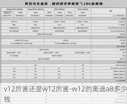 v12厉害还是w12厉害-w12的奥迪a8多少钱