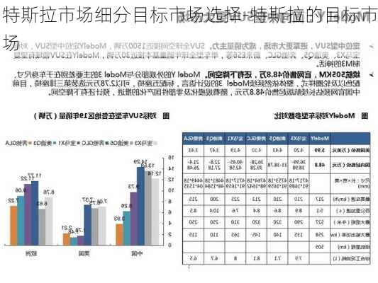 特斯拉市场细分目标市场选择-特斯拉的目标市场