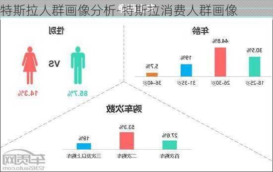 特斯拉人群画像分析-特斯拉消费人群画像