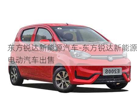 东方锐达新能源汽车-东方锐达新能源电动汽车出售