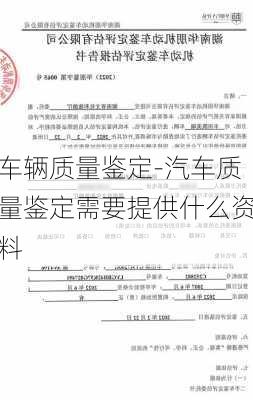 车辆质量鉴定-汽车质量鉴定需要提供什么资料