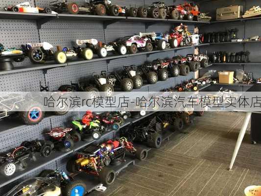 哈尔滨rc模型店-哈尔滨汽车模型实体店