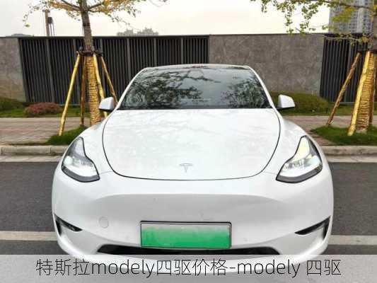 特斯拉modely四驱价格-modely 四驱