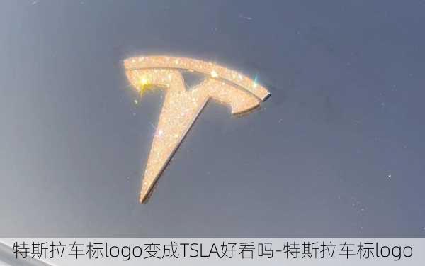 特斯拉车标logo变成TSLA好看吗-特斯拉车标logo