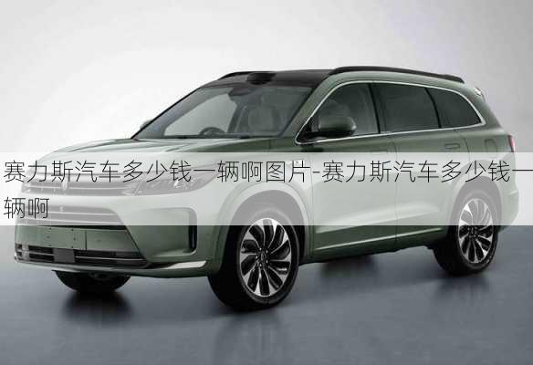 赛力斯汽车多少钱一辆啊图片-赛力斯汽车多少钱一辆啊