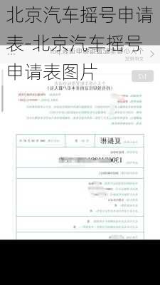 北京汽车摇号申请表-北京汽车摇号申请表图片