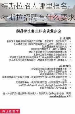 特斯拉招人哪里报名-特斯拉招聘有什么要求