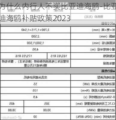 为什么内行人不买比亚迪海鸥-比亚迪海鸥补贴政策2023