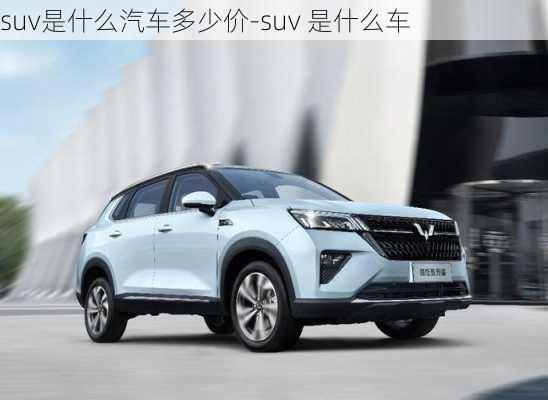 suv是什么汽车多少价-suv 是什么车